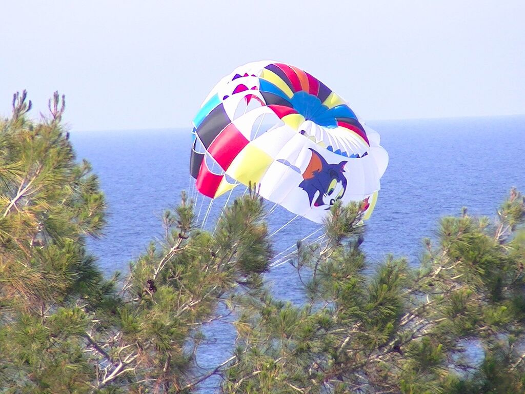 Deniz Kızı Hotel