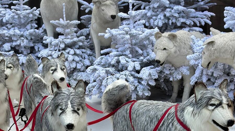 ROMANTİK NOEL PAZARLARI TURU Türk Hava Yolları ile 4 gece